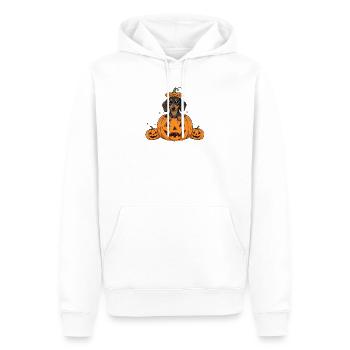 Dackel im Kürbis | Süßer Hunde Halloween Spaß - Männer Premium Bio Hoodie - Weiß - Vorne - Nico (187cm)