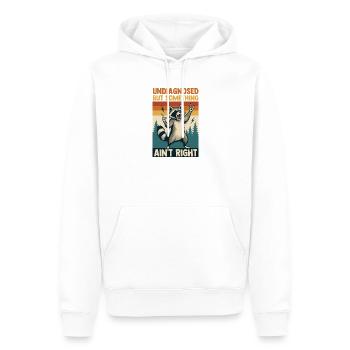 Undiagnosed But Something Ain't Right Raccoon - Men’s Premium Organic Hoodie - white - Front - Nico (187cm)