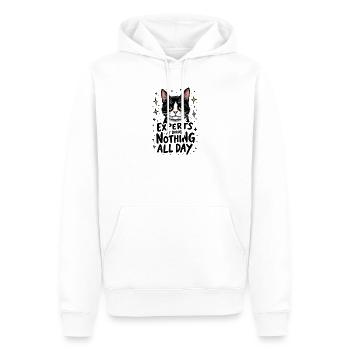 KATZEN: EXPERTEN DARIN, DEN GANZEN TAG NICHTS ZU TUN - Männer Premium Bio Hoodie - Weiß - Vorne - Nico (187cm)