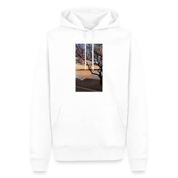 Starigrad-Paklenica - Männer Premium Bio Hoodie - Weiß - Vorne - Nico (187cm)