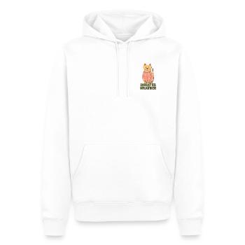 Sweater Weather - Men’s Premium Organic Hoodie - white - Front - Nico (187cm)