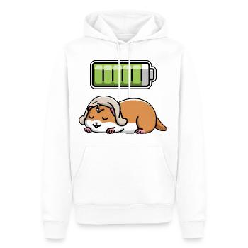 Hamster Sleeping Recharging Night Bedtime - Männer Premium Bio Hoodie - Weiß - Vorne - Nico (187cm)