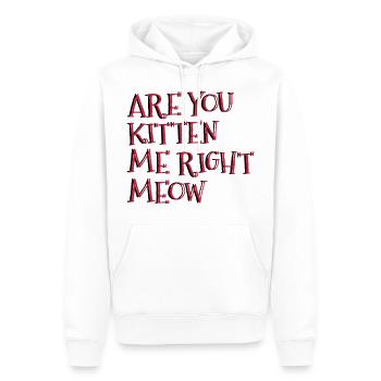 Are You Kitten Me Right Meow - Männer Premium Bio Hoodie - Weiß - Vorne - Nico (187cm)