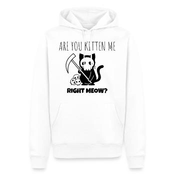 Lustige Katze - Männer Premium Bio Hoodie - Weiß - Vorne - Nico (187cm)