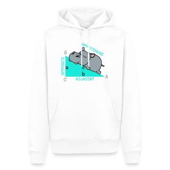 Hippoténuse math maths professeur de mathématiques blague - Sweat à capuche Premium bio Homme - blanc - Devant - Nico (187cm)