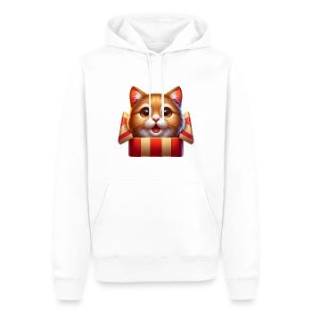 Julegave Overraskelseskat - Herre Premium økologisk hoodie - hvid - Foran - Nico (187cm)