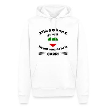 Die Reise nach Capri - Männer Premium Bio Hoodie - Weiß - Vorne - Nico (187cm)