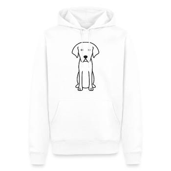 Cao De Castro Laboreiro Dog Cartoon Kawaii Illustr - Men’s Premium Organic Hoodie - white - Front - Nico (187cm)