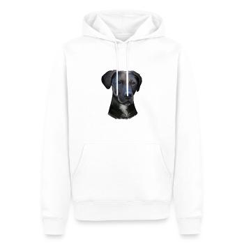 Stephens Cur Dog Watercolor Illustration - Men’s Premium Organic Hoodie - white - Front - Nico (187cm)