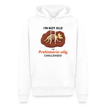 Chasse aux fossiles Paléontologie Dinosaure Préhistorique - Sweat à capuche Premium bio Homme - blanc - Devant - Nico (187cm)