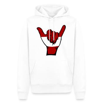 Austria Flag Surfing Symbol - Men’s Premium Organic Hoodie - white - Front - Nico (187cm)