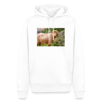 Bergziege im Nationalpark Park Λίμνη Συμπ - Männer Premium Bio Hoodie - Weiß - Vorne - Nico (187cm)