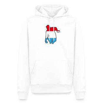Ombre joueur luxembourg - Männer Premium Bio Hoodie - Weiß - Vorne - Nico (187cm)