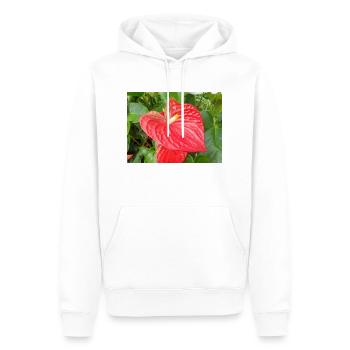 anthurium also laceleaf also flamingo flower - Men’s Premium Organic Hoodie - white - Front - Nico (187cm)