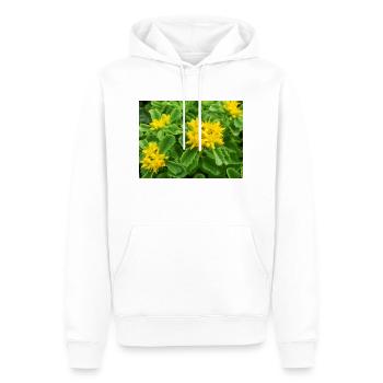 Fetthenne auch Sedum auch Orpine Ewige Fetthenne - Männer Premium Bio Hoodie - Weiß - Vorne - Nico (187cm)