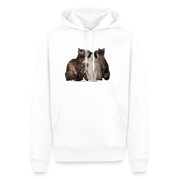 Glückskatzen - Männer Premium Bio Hoodie - Weiß - Vorne - Nico (187cm)