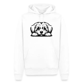 Tête de maltais avec pattes - Sweat à capuche Premium bio Homme - blanc - Devant - Nico (187cm)