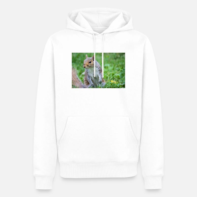 Grey squirrel Grauhörnchen Sciurus carolinensis - Men’s Premium Organic Hoodie - white