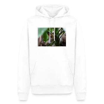 le chat au doux regard - Sweat à capuche Premium bio Homme - blanc - Devant - Nico (187cm)