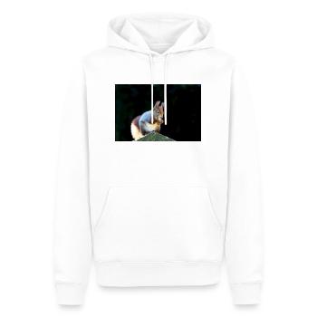 Eichhörnchen, Isibat - Männer Premium Bio Hoodie - Weiß - Vorne - Nico (187cm)