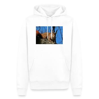 Eichhörnchen - Männer Premium Bio Hoodie - Weiß - Vorne - Nico (187cm)
