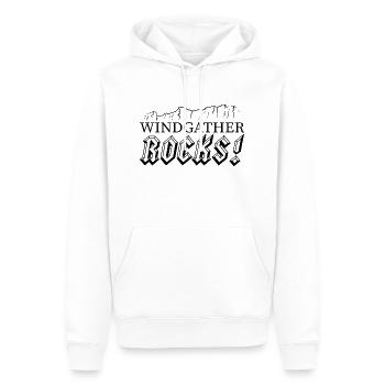 Windsammel-Felsen - Männer Premium Bio Hoodie - Weiß - Vorne - Nico (187cm)