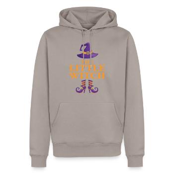 The Little Witch - Men’s Premium Organic Hoodie - taupe - Front - Nico (187cm)