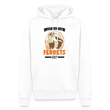 J’aime beaucoup Ferrets Frettchen - Sweat à capuche Premium bio Homme - blanc - Devant - Nico (187cm)