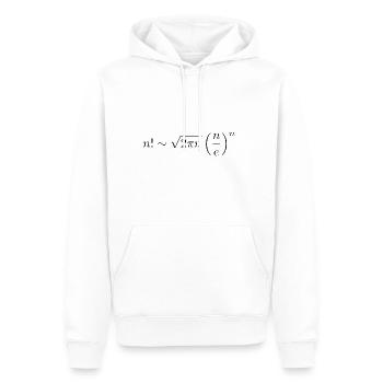 Stirling Approximation - Männer Premium Bio Hoodie - Weiß - Vorne - Nico (187cm)
