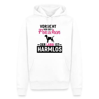 Labrador Retriever - Männer Premium Bio Hoodie - Weiß - Vorne - Nico (187cm)
