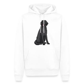 Flat Coated Retriever Hund - Männer Premium Bio Hoodie - Weiß - Vorne - Nico (187cm)