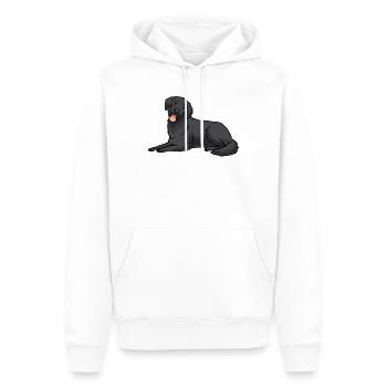 Flat Coated Retriever Hund - Männer Premium Bio Hoodie - Weiß - Vorne - Nico (187cm)