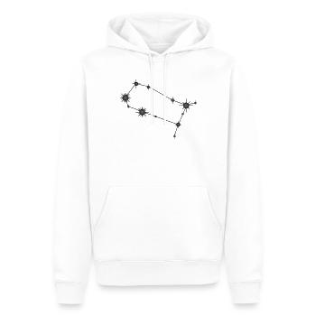 Gémeaux Étoile Constellation Signe du zodiaque Noir et gris - Sweat à capuche Premium bio Homme - blanc - Devant - Nico (187cm)