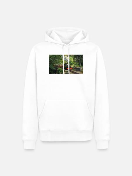 Ffestiniog Idyll - Men’s Premium Organic Hoodie - white