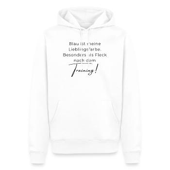 Voltigieren Training: Lustiger Volti Spruch - Männer Premium Bio Hoodie - Weiß - Vorne - Nico (187cm)