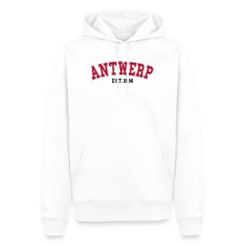 Anvers Fondée en 1996 - Sweat à capuche Premium bio Homme - blanc - Devant - Nico (187cm)