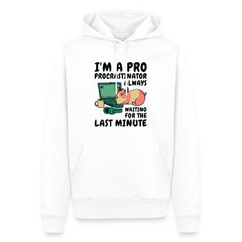 Procrastiner le temps du procrastinateur de hamster - Sweat à capuche Premium bio Homme - blanc - Devant - Nico (187cm)