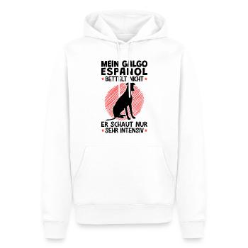 Galgo Espanol schaut sehr intensiv Windhund - Männer Premium Bio Hoodie - Weiß - Vorne - Nico (187cm)