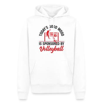 Volleyball Player Team Today's - Männer Premium Bio Hoodie - Weiß - Vorne - Nico (187cm)