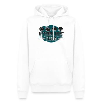 Météorologue Prévisions météorologiques - Sweat à capuche Premium bio Homme - blanc - Devant - Nico (187cm)