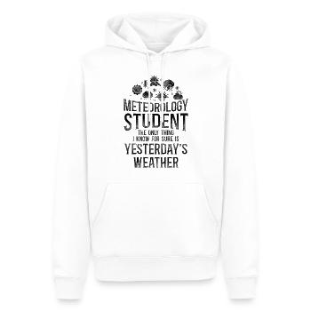 Météorologue Prévisions météorologiques - Sweat à capuche Premium bio Homme - blanc - Devant - Nico (187cm)