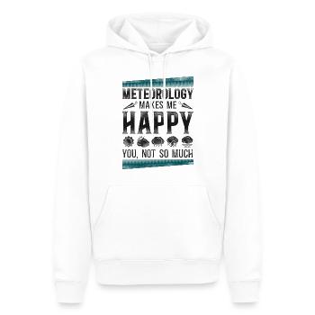 Météorologue Prévisions météorologiques - Sweat à capuche Premium bio Homme - blanc - Devant - Nico (187cm)