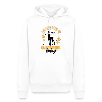 Ich rede nur mit meinem Galgo Espanol - Männer Premium Bio Hoodie - Weiß - Vorne - Nico (187cm)