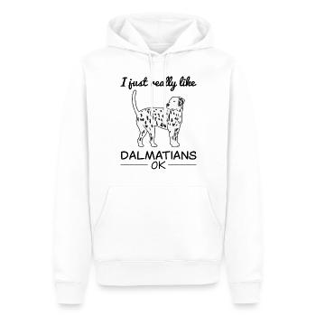 Dalmatiner Hund Hundeliebhaber Spruch Geschenk - Männer Premium Bio Hoodie - Weiß - Vorne - Nico (187cm)