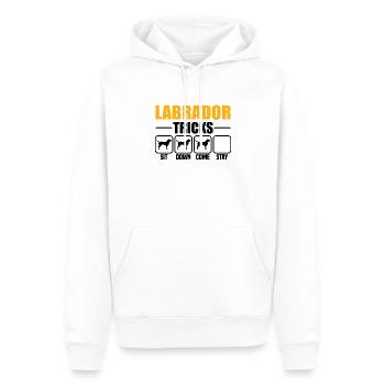 Labrador Tricks - Männer Premium Bio Hoodie - Weiß - Vorne - Nico (187cm)