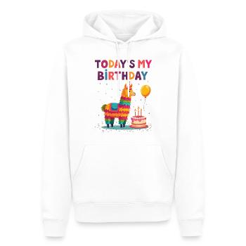 Anniversaire, Anniversaire d’enfants, Fête d’anniversaire - Sweat à capuche Premium bio Homme - blanc - Devant - Nico (187cm)