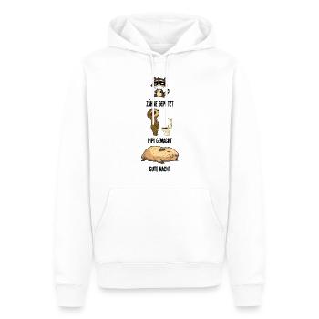 Zähne Geputzt Waschbär Capybara Faultier Geschenk - Männer Premium Bio Hoodie - Weiß - Vorne - Nico (187cm)