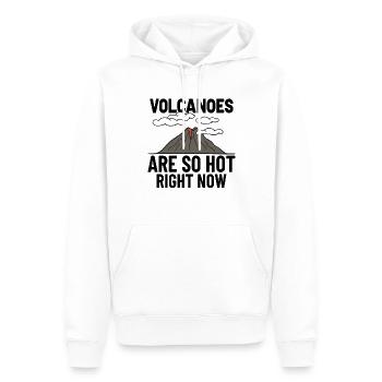 Geologist Volcano Geology Rock Hunter Rock Hunting - Männer Premium Bio Hoodie - Weiß - Vorne - Nico (187cm)
