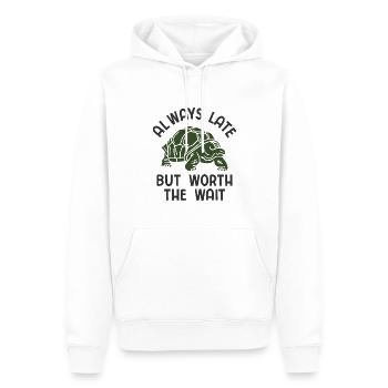 Schildkröten - Männer Premium Bio Hoodie - Weiß - Vorne - Nico (187cm)