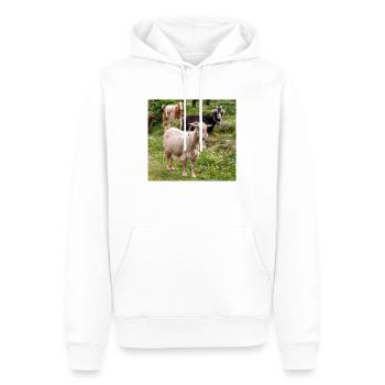 Bergziege im Nationalpark Park Insel Kos - Männer Premium Bio Hoodie - Weiß - Vorne - Nico (187cm)